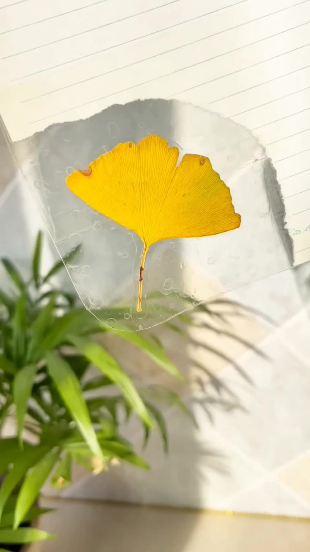 This may contain: a piece of paper with a red leaf on it next to a potted plant