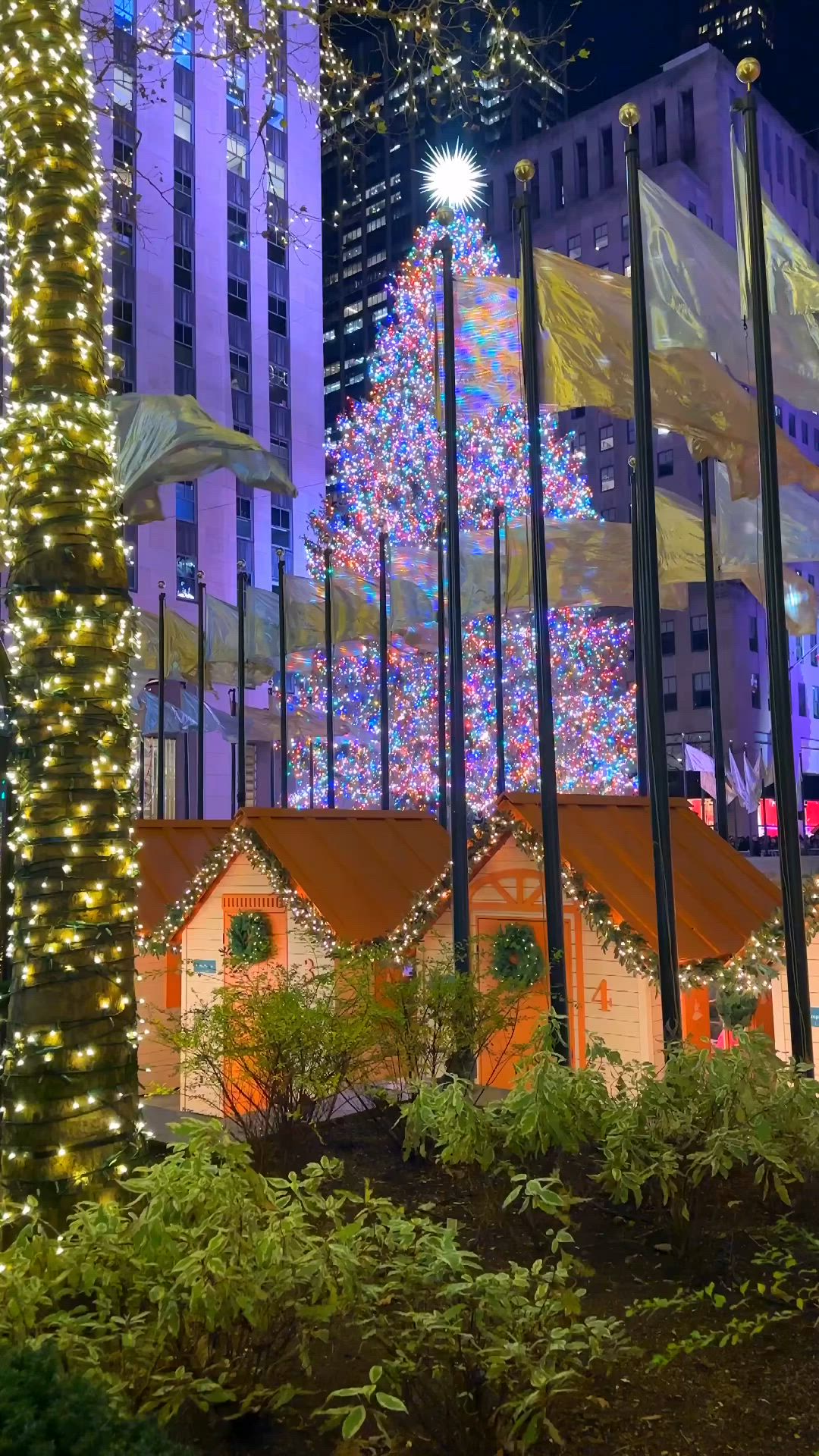 This may contain: a christmas tree is lit up in the middle of a city with lights on it