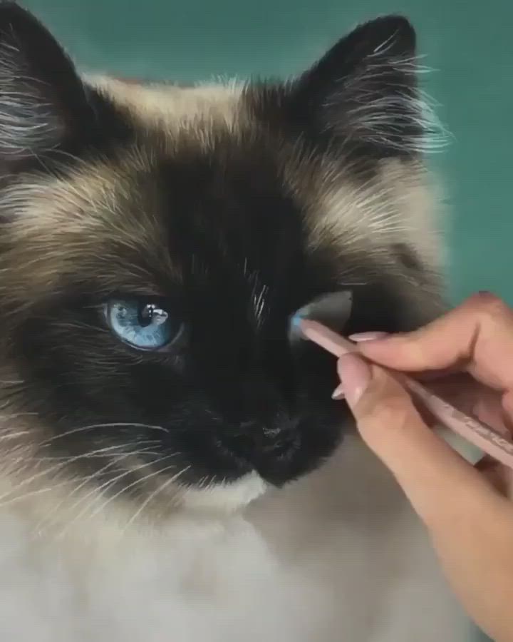 This may contain: a woman is brushing her cat's teeth with an electric toothbrush