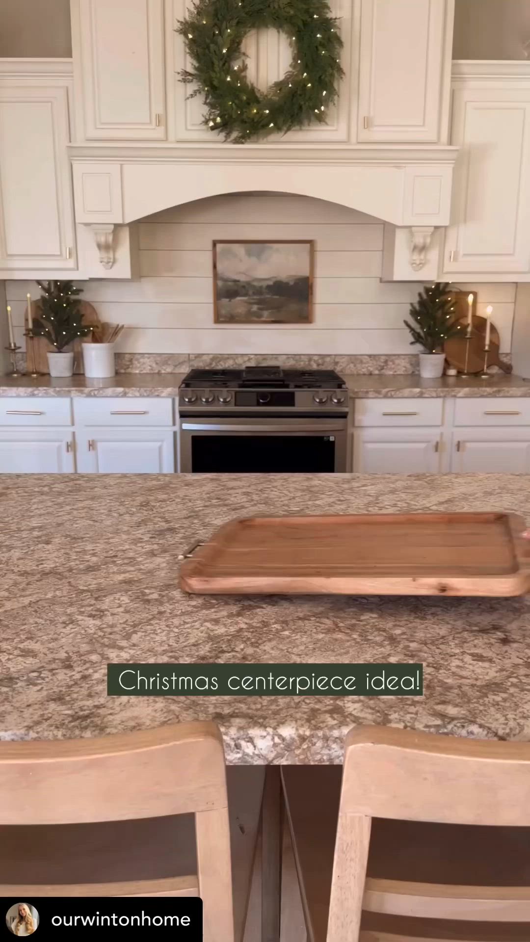 This may contain: a large potted plant sitting on top of a kitchen counter next to two chairs