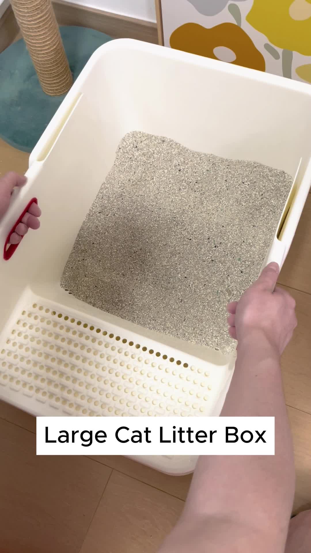 This contains: cat litter