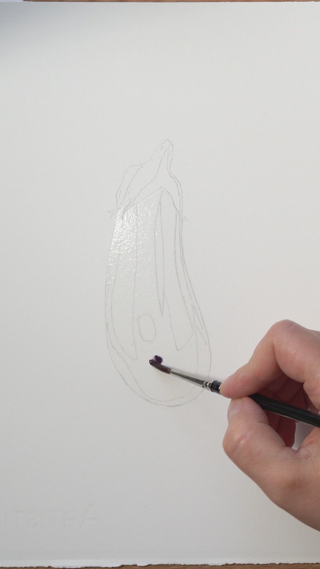 This may contain: an eggplant is being drawn on a piece of paper