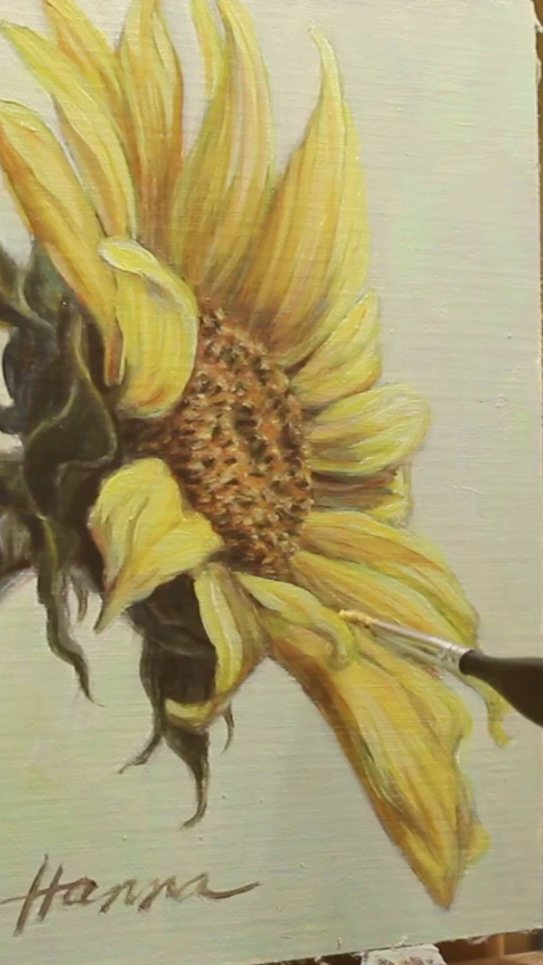 This may contain: a drawing of a sunflower on a white background