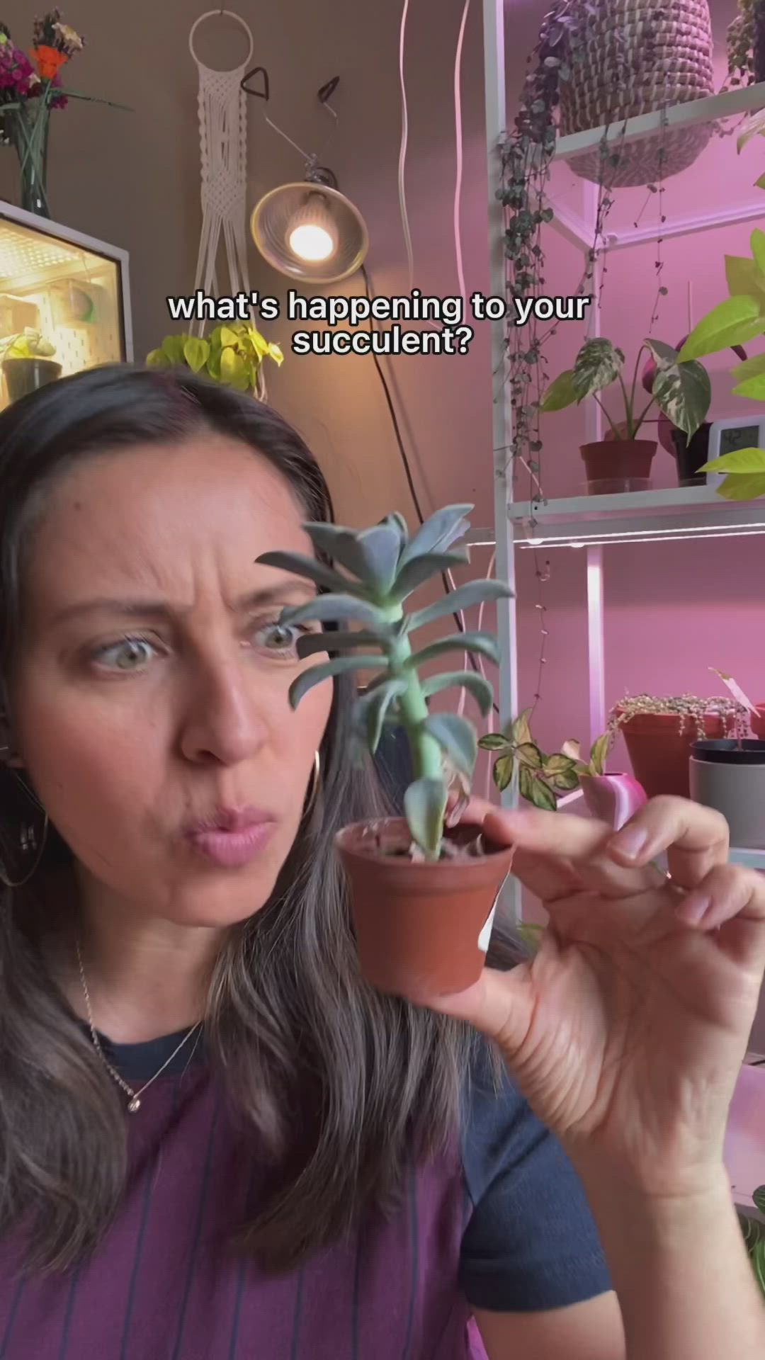 This may contain: a woman holding up a potted plant with the caption what's happening to your succulent?