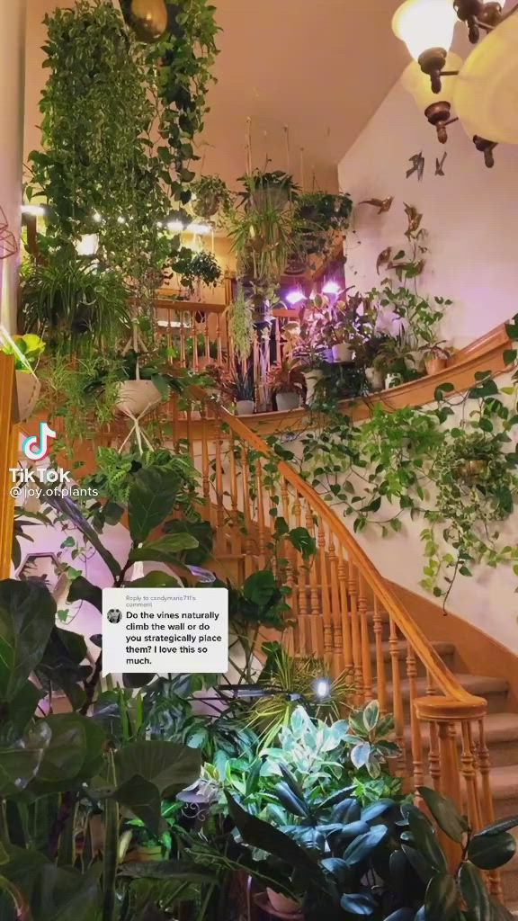 This may contain: the stairs are covered with plants and lights