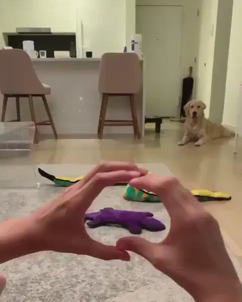 This may contain: a person's hand reaching for toys on the floor with a dog in the background