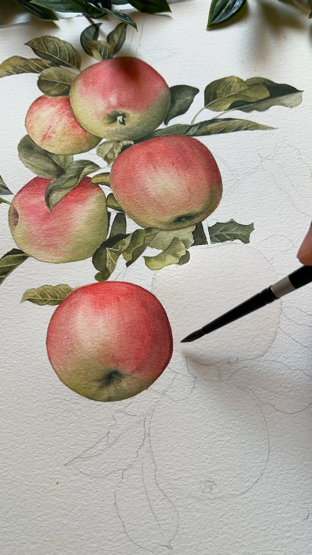 This may contain: an artist is painting apples on the paper