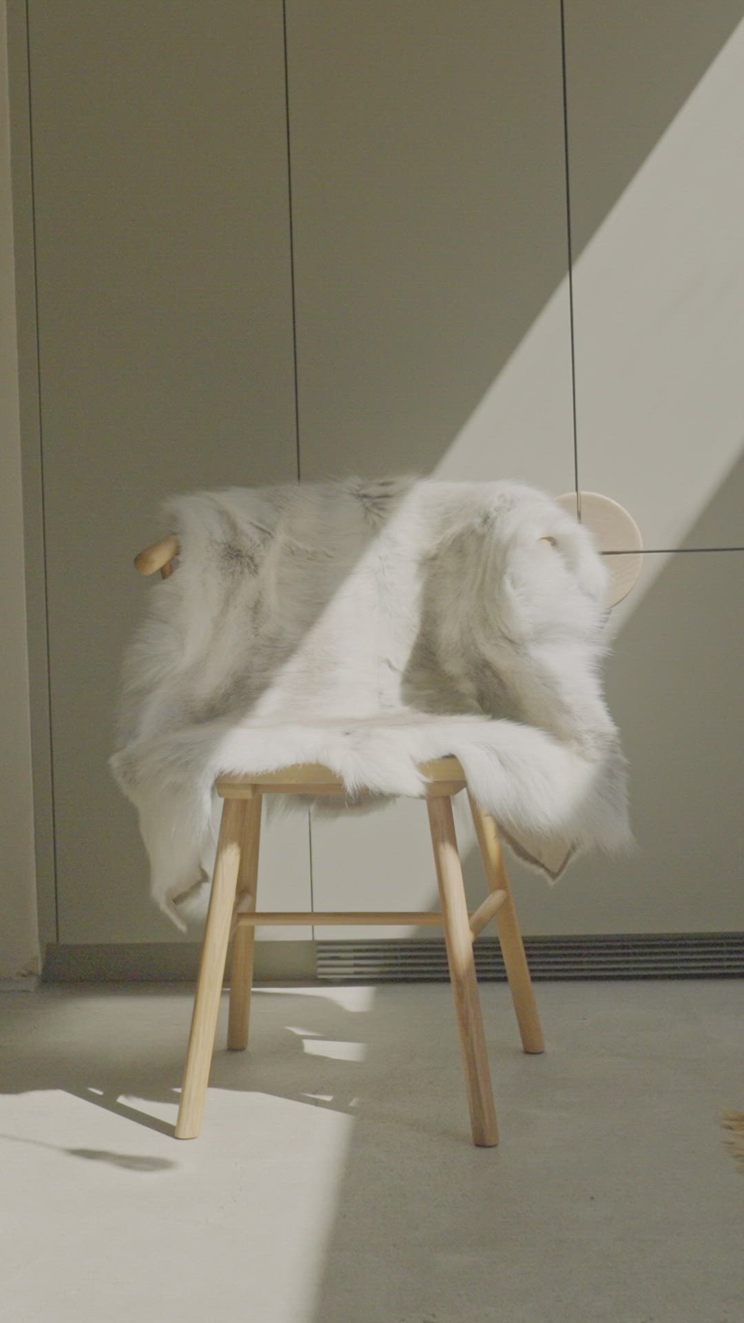 This may contain: a chair with a white fur on it in front of a wall and sunlight coming through the window