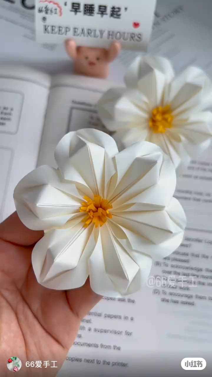 This may contain: two white flowers are held in front of an open book with chinese characters on it