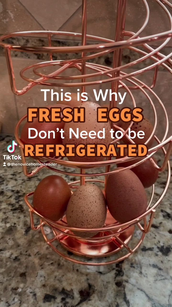 This may contain: an egg holder with eggs in it and the words, this is why fresh eggs don't need to be refrigerated