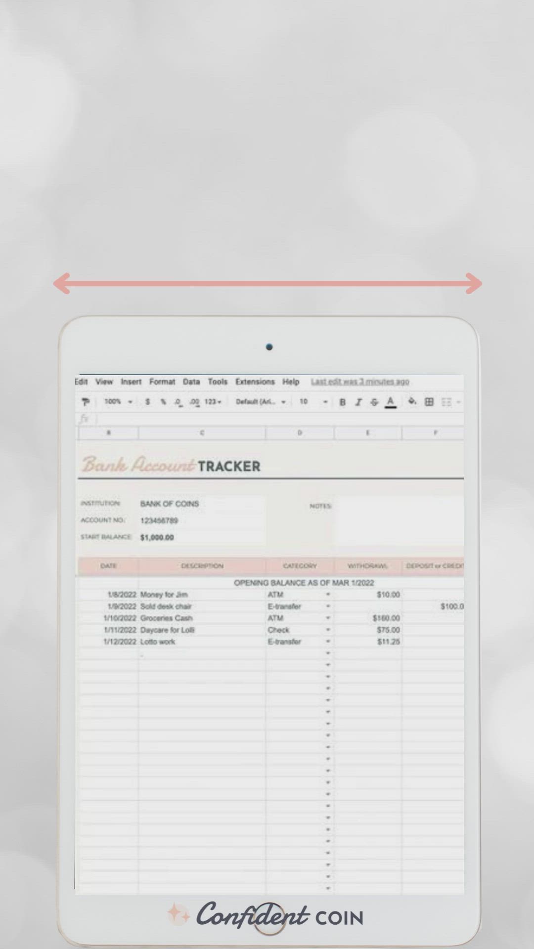 This may contain: the ultimate bank account planner with text overlay