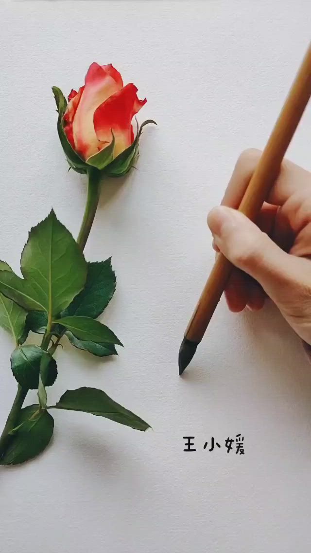 This may contain: two roses are being drawn on a piece of paper