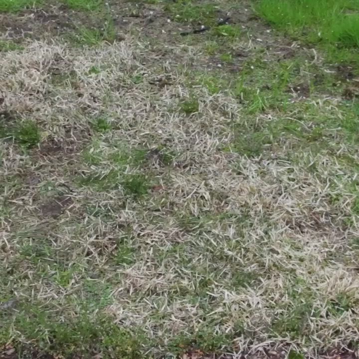 This may contain: a brick fire pit sitting on top of a grass covered field