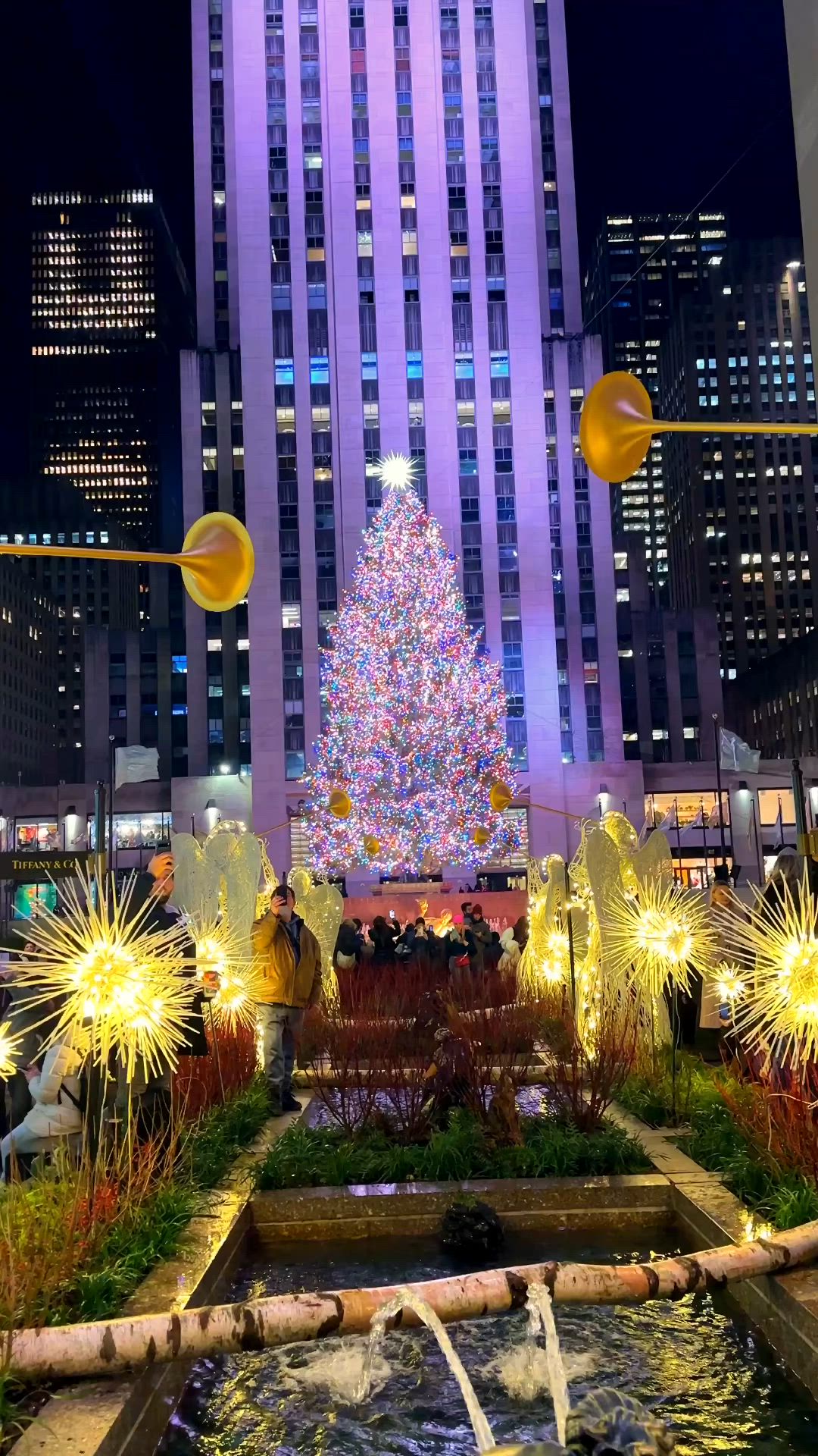 This may contain: a christmas tree in the middle of a city at night with fireworks and lights around it