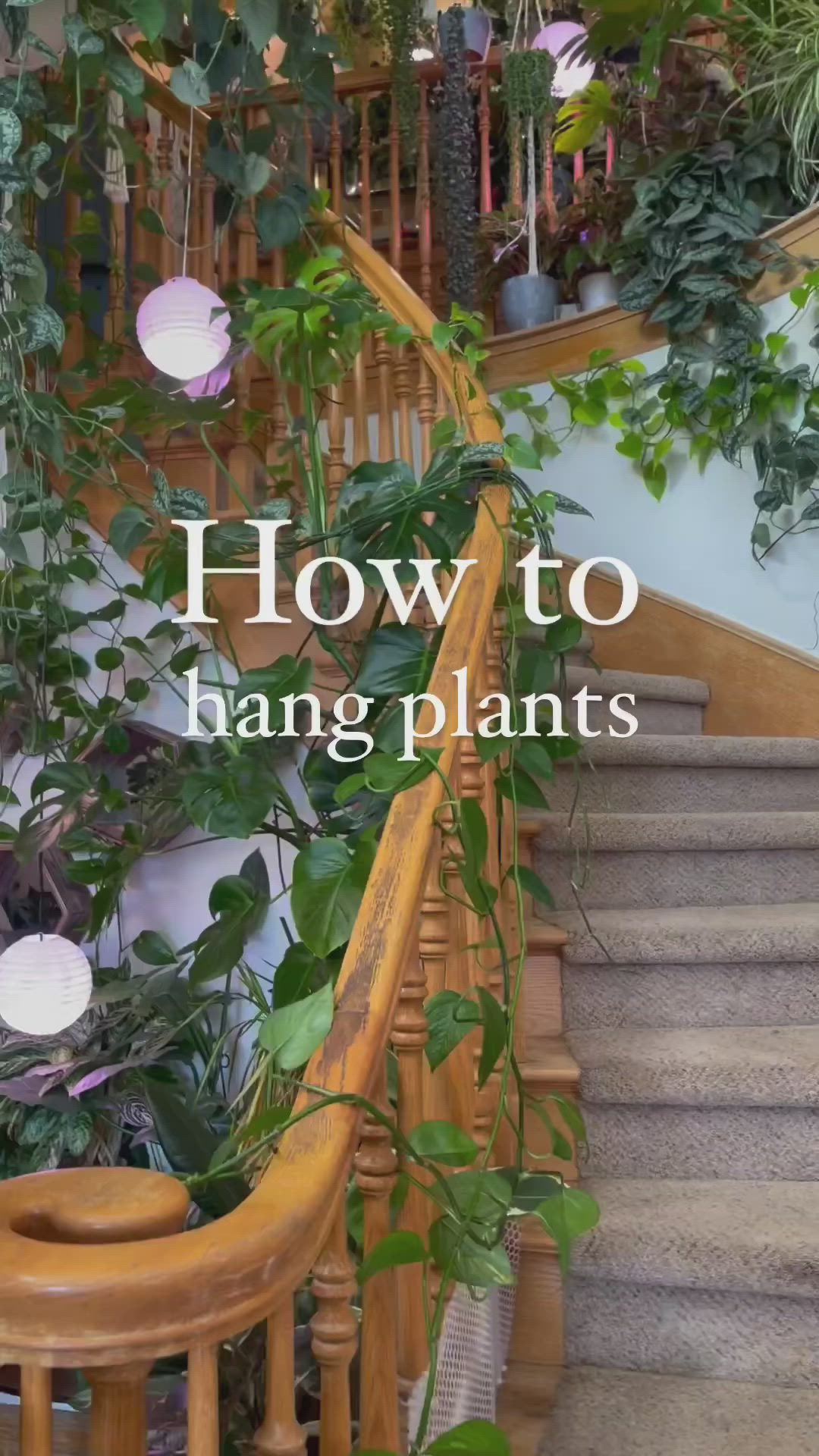 This may contain: an image of plants and stairs with the words how to hang plants