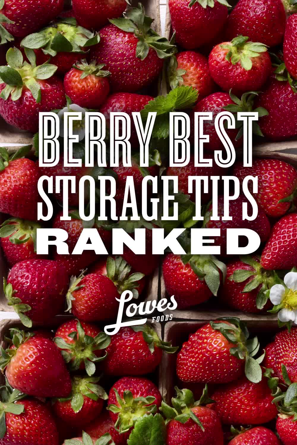 This contains: Strawberry, Strawberries, Berry, Berries, Fresh, Storage, Storage Tips, Air Tight Container, Vinegar, Soak in Vinegar, Salad Spinner, Clean, Paper Towels, Rinse, Water, Kitchen