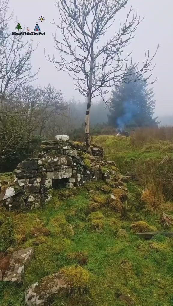 This may contain: a small tree sitting on top of a lush green hillside next to a stone structure