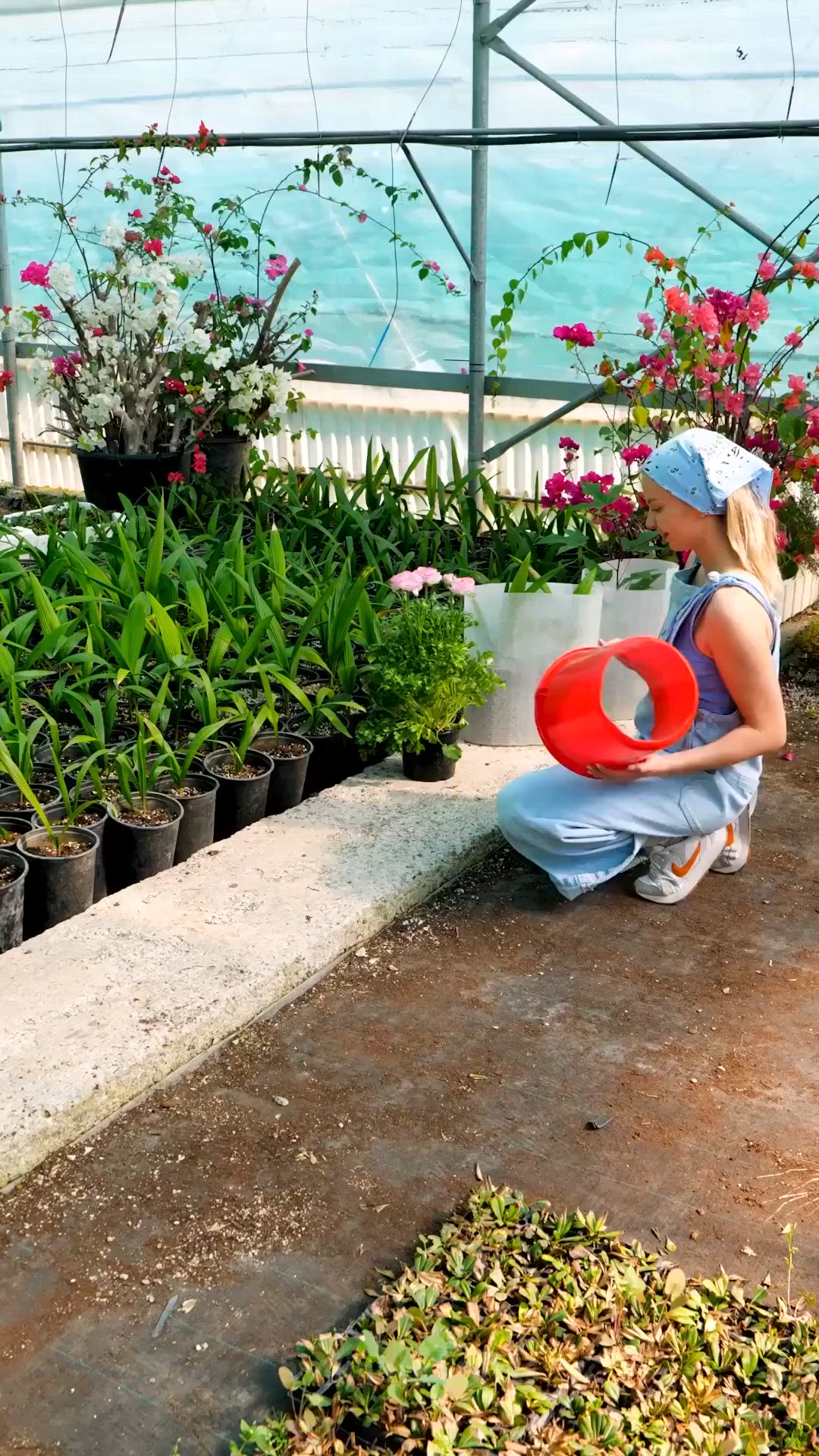 This may contain: a woman kneeling down with a frisbee in her hand and plants behind her