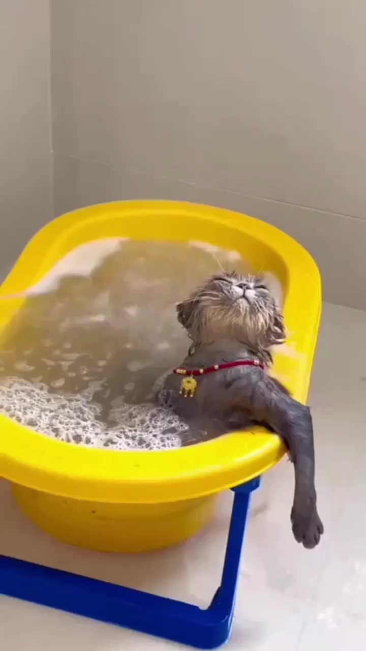 This may contain: a cat sitting in a bathtub with water on it's back and his head sticking out