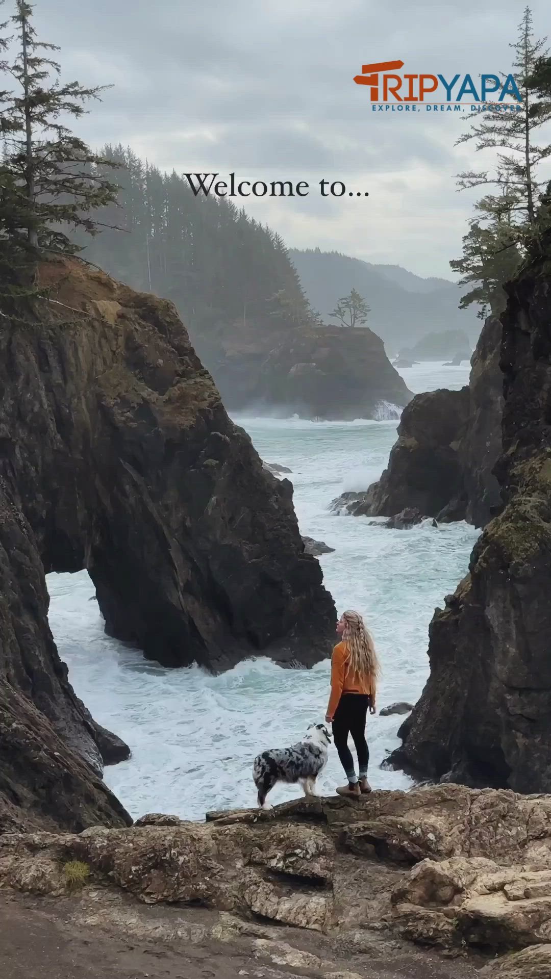 This may contain: a woman is walking her dog on the rocks by the ocean with an advertisement for tripyapa