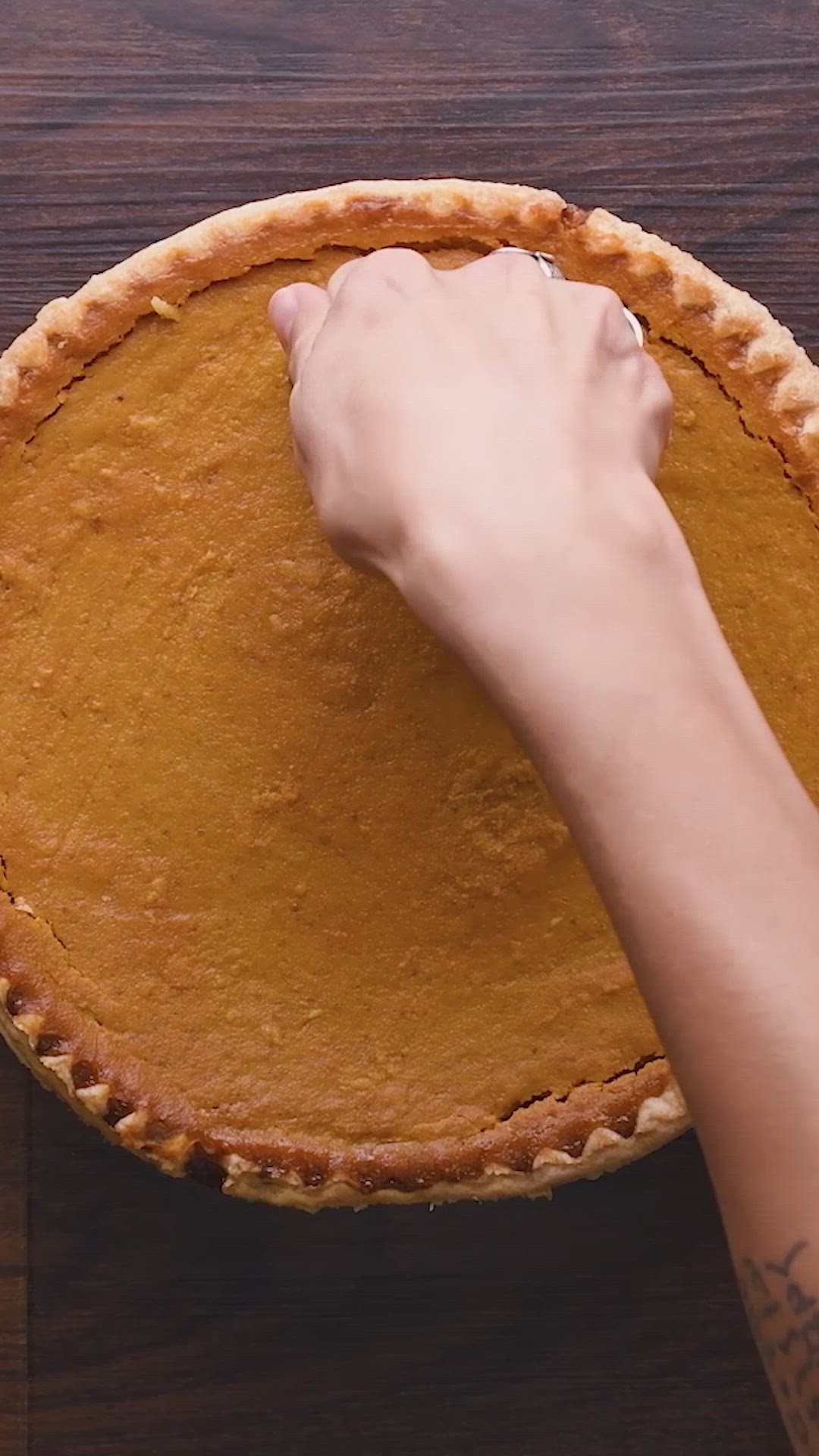 This may contain: pumpkin pie bites are arranged on a white plate