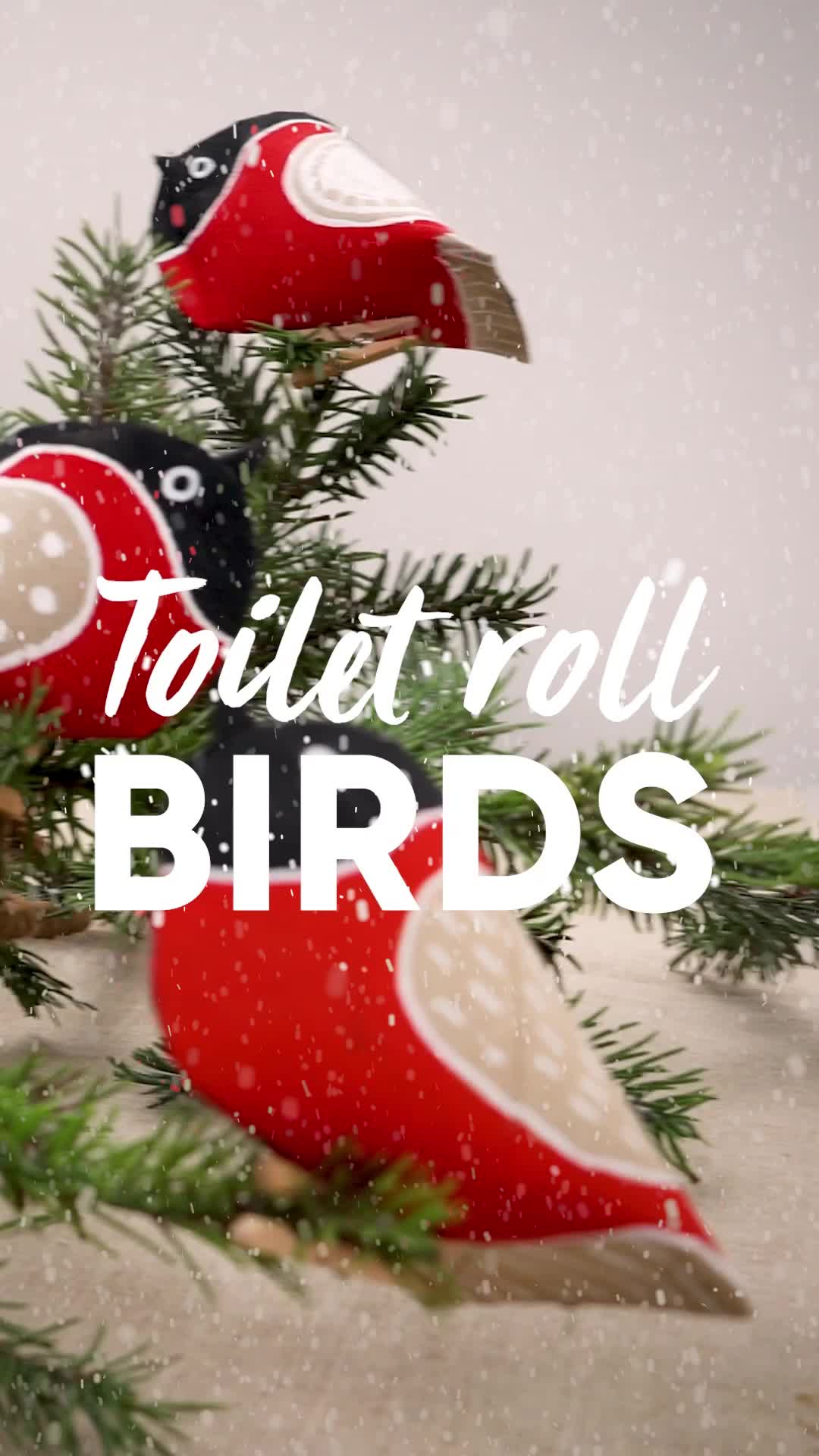 This may contain: three red birds sitting on top of a christmas tree with snow falling around them and the words toilet roll birds