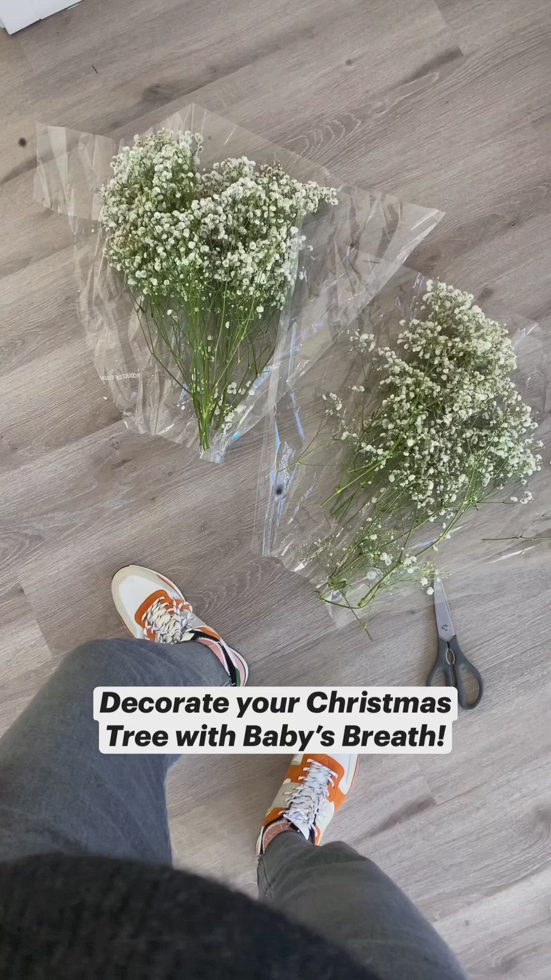 This may contain: two baby's breath flowers sitting on the floor next to a pair of scissors