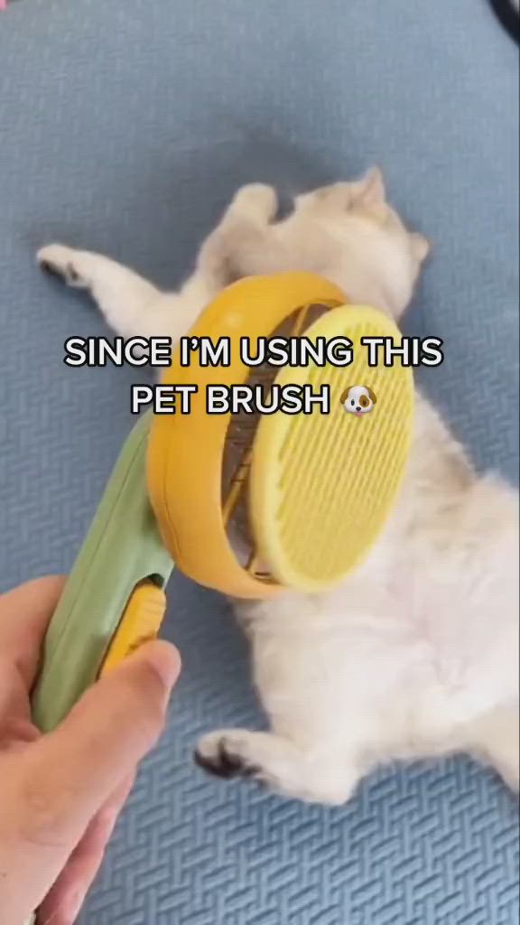 This may contain: a dog laying on the floor with its head in a hair dryer that says, since i'm using this pet brush