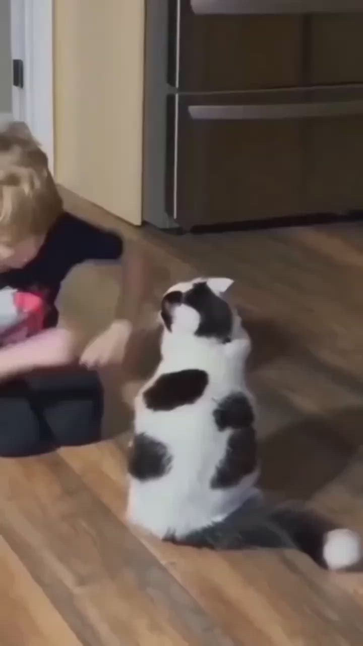 This may contain: a small child playing with a cat on the floor