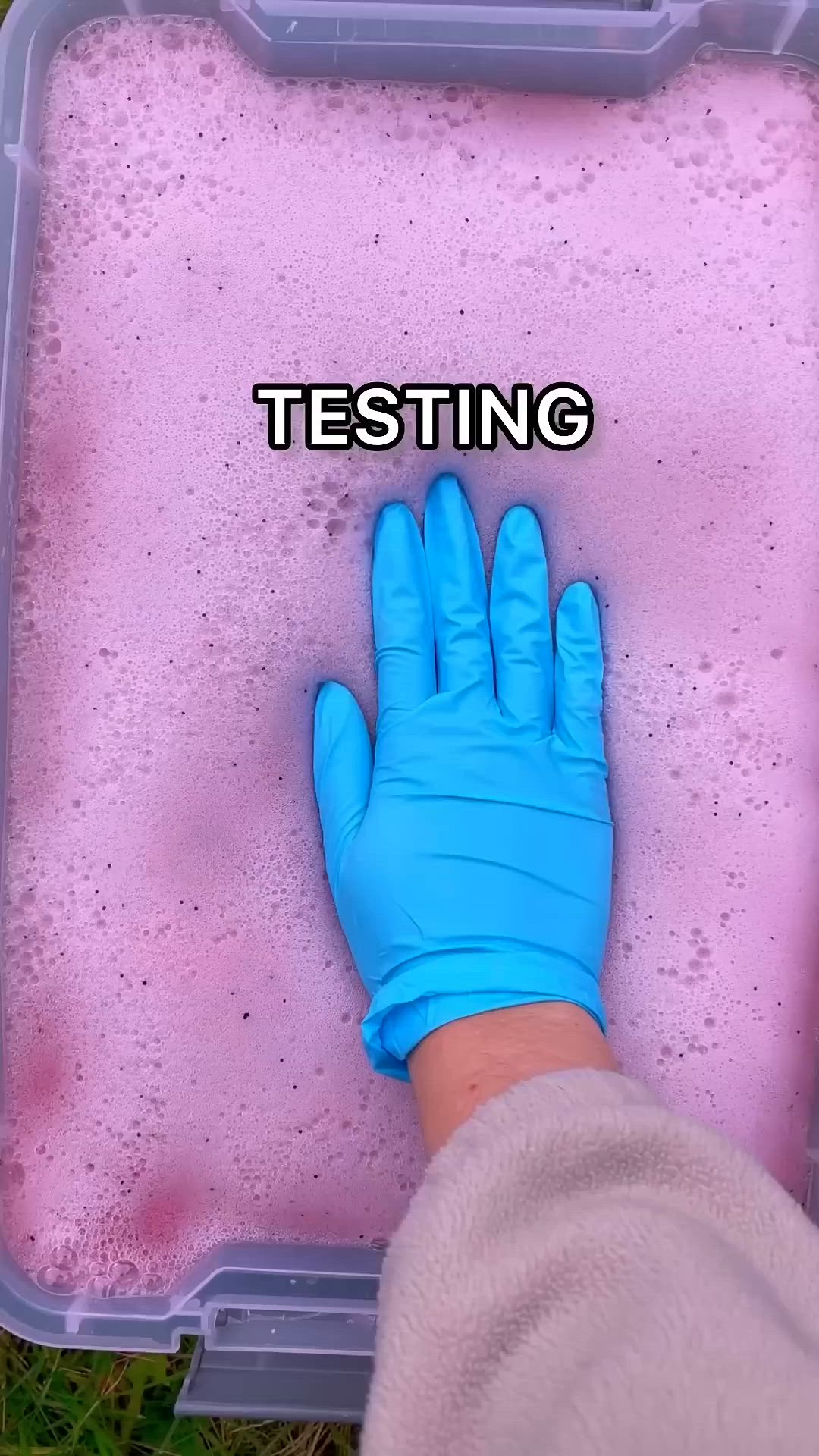 This may contain: a person in blue gloves is holding a tray with pink substance and the words testing written on it