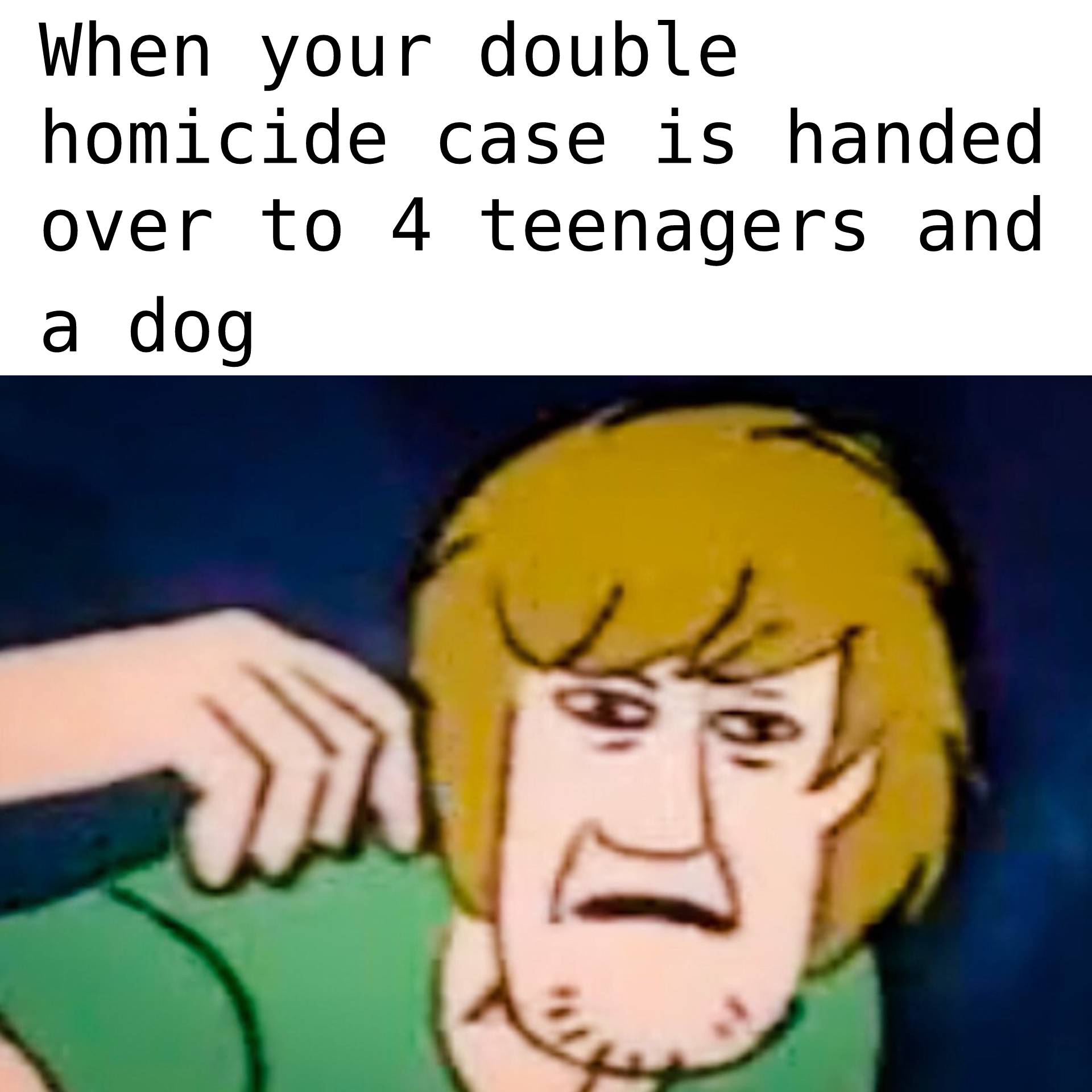 Scooby Doo Meme