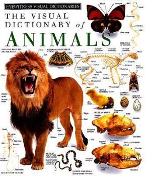 Hardcover Animals Book