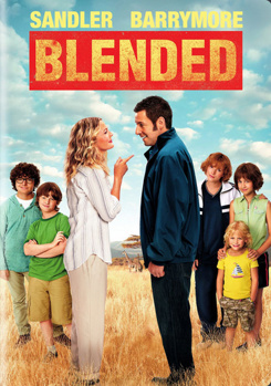 DVD Blended Book