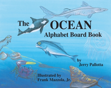 Board book The Ocean Alphabet Board Book