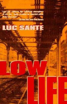 Paperback Low Life: Lures and Snares of Old New York Book