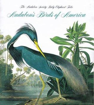 Paperback Audubon's Birds of America Book