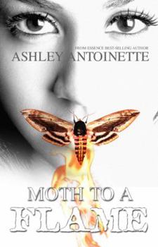 Paperback Moth to a Flame Book