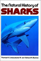 The Natural History of Sharks