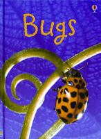 Bugs (Usborne Beginners) 0746080379 Book Cover