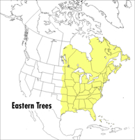 A Field Guide to Eastern Trees (Peterson Field Guides)