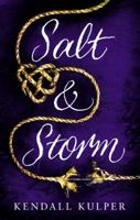 Salt & Storm 0316404519 Book Cover