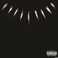 Black Panther The Album: Music From And Inspired B Book Cover