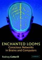 Enchanted Looms: Conscious Networks in Brains and Computers