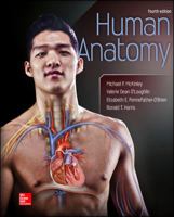 Human Anatomy