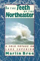 In the Teeth of the Northeaster: A Solo Voyage on Lake Superior