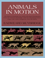 Animals in Motion