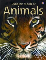 The Usborne World Of Animals