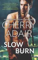 Slow Burn Seducing Mr. Right\Take Me 0373778740 Book Cover