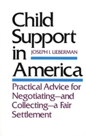 Child Support in America: Practical Advice on Negotiating and Collecting a Fair Settlement