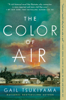 The Color of Air 0062976206 Book Cover